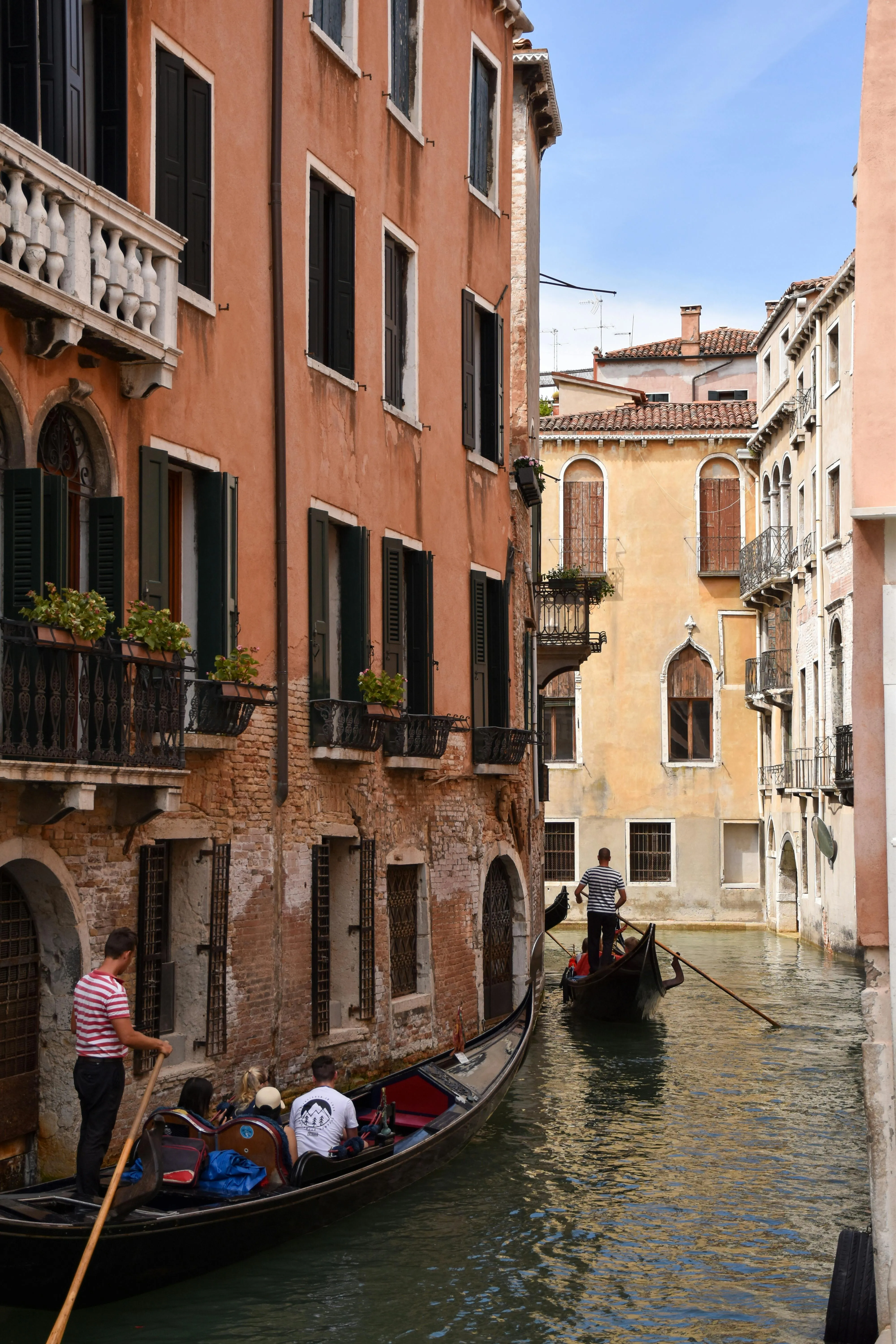 A city going underwater when the runway disappears and founders are the paycheck